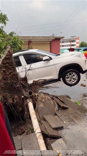Beyond the Spectacle: This Accident Reveals a Fatal Flaw in Urban Landscaping