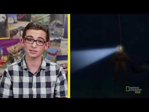 The Creepy Creatures of the Deep Sea | Nat Geo Kids Deep-sea Creatures Playlist