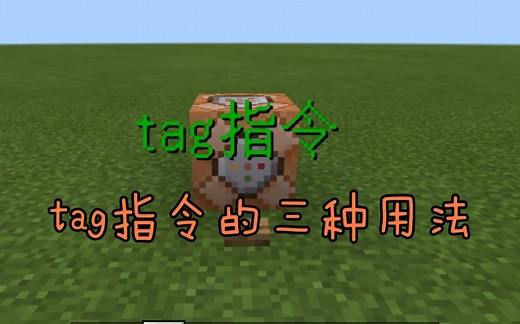 【我的世界指令】tag指令的三种实用用法_哔哩哔哩_bilibili