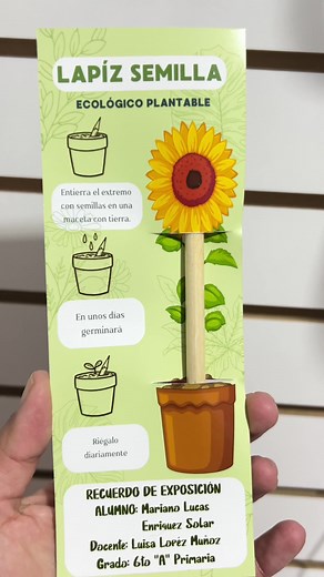 Lápices Semilla: Regala Vida y Naturaleza