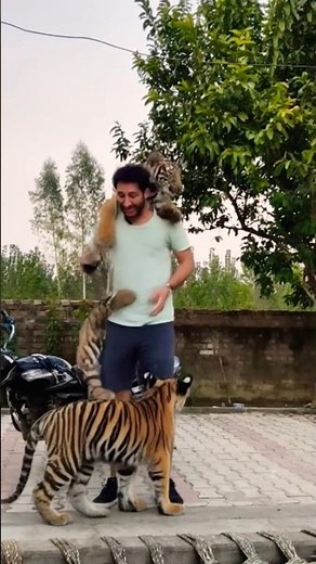 Cheetah vs Army | Epic AI Battle Scene | Unreal Wildlife Action in 4K