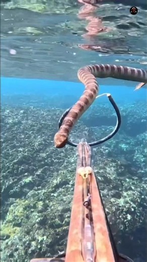 Did You Know This About Snakes 😱