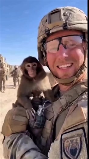 @lambotard on Instagram: "日本利用压电瓷砖将脚步转化为电能。这些瓷砖捕捉来自你脚步的动能。当你行走时，你的重量和动作会对瓷砖产生压力。瓷砖会轻微弯曲，从而产生机械应力。瓷砖内部的压电材料将这种应力转化为电能。每一步都会产生少量电荷，而数百万步结合在一起就能产生足够的电力来驱动 LED 灯、数字显示屏和传感器。在像涩谷车站这样繁忙的地方，每天大约有 240 万个脚步为这一系统作出贡献。这些电能可以被储存或立即使用，从而减少对传统电力来源的依赖，并支持可持续的城市基础设施。这种方法将日常运动转化为实用的可再生能源 #日本 #知识 #事实 #你知道吗 #推荐 #科技 #创新 #历史 #技术 #实验 #热门"