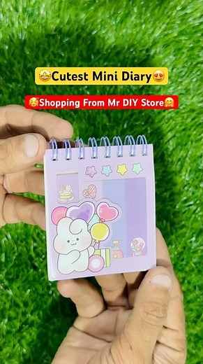 🤩Shopping at Mr DIY🛒Found This Cute Mini Diary💕mr diy stationery haul! Sticky notes! Stationery