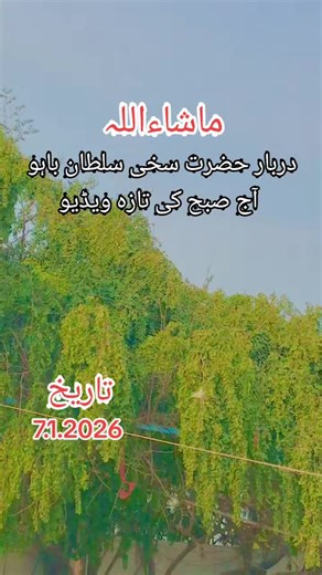 Exploring the Spiritual Significance of Darbar Sharif Bahu Sultan