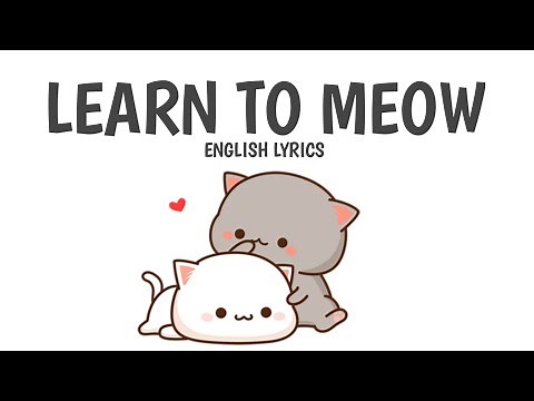 Learn to Meow | English Lyrics