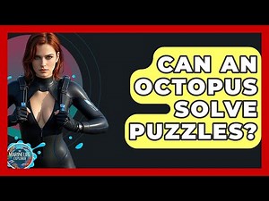 Can An Octopus Solve Puzzles? - The Marine Life Explorer