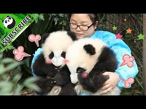 【Panda Theme】A Day With Nanny | iPanda