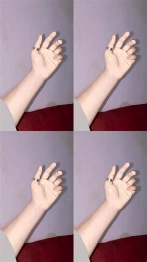 Aleeha (@aleeha307)’s videos with original sound - Husn4in Sh3ikh ⚜️