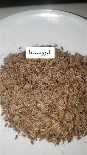 البروستاتا #البروستاتا #البروستاتا_الالتهاب_والتضخم #فوائد #الخلة #france