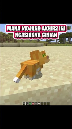 MINECRAFT MAJOR UPDATE 2026 (?)