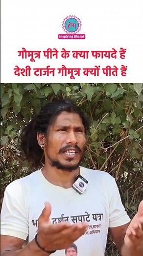 गौमूत्र पीने के क्या फायदे हैं! देशी टार्जन गौमूत्र क्यों पीते हैं🤔