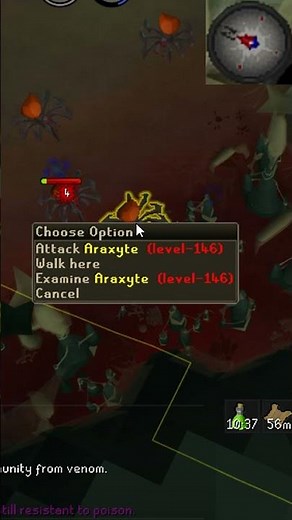 How To Safespot Araxytes (Lvl 146) In Under 1 Minute | #osrs #oldschoolrunescape #osrsshorts