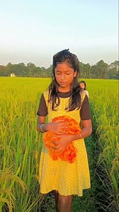 139K views · 14K reactions | Maiya teri aanchal ki.. . . . . . Instagram algorithm hack How to increase Instagram reach How to get more likes on Instagram How to boost Instagram engagement Instagram explore page hack Instagram reel views increase How to make reels go viral . . . #reelsinstagram #viralreels #reelsindia | Little Bristi | Facebook