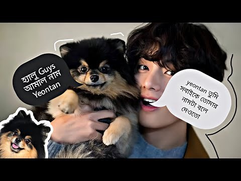 Yeontan যখন BTS এর সব Member দের সাথে থাকে🤣😂BTS Bangla funny Moments😂BTS Bangla funny dubbing😂