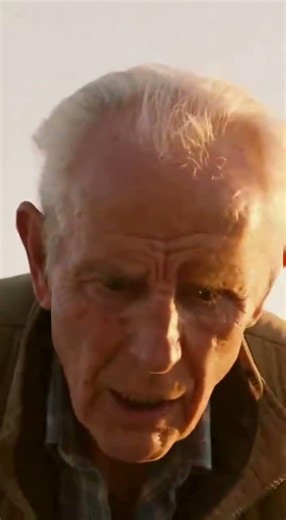 Mother Dog Leads Owner to Save Trapped Puppies—An Emotional Rescue Story#rescue #puppy #kindness