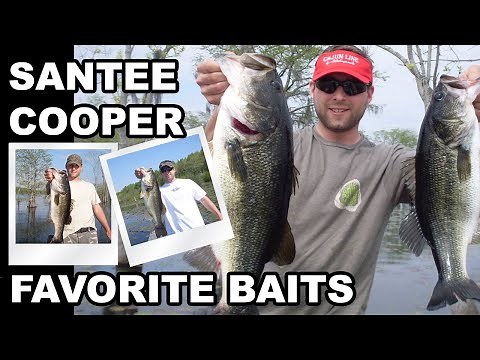 Santee Cooper - Lake Marion Favorite Bass Fishing Baits