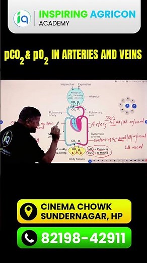 pCO2 & pO2 in ARTERIES AND VEINS #biology #biology #biologyclass #biologynotes #microbiology