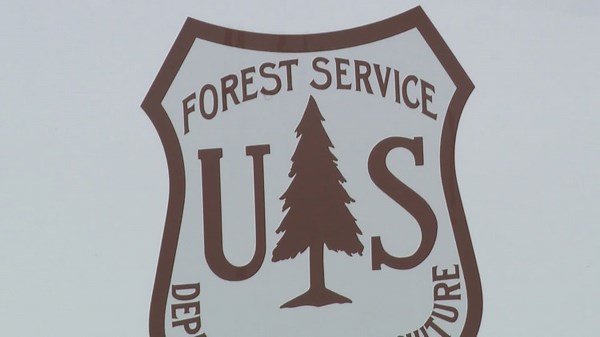 U.S. Forest Service workers fighting back following mass layoffs