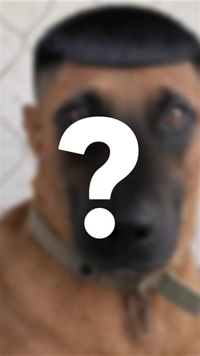 😱The Cute Killers🩸