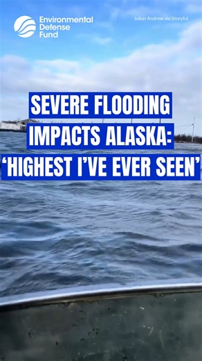 Alaska State Troopers led search and rescue operations across Western Alaska as the remnants of Typhoon Halong caused severe flooding and major structural damage in several coastal communities. Footage posted to TikTok on Sunday, October 12, by Juliun Andrew shows the extent of the inundation in Napakiak. Andrew said it was the highest he’d ever seen a flood in Napakiak. And video by Kristy Fox shows helicopters winching people to safety as well as circling and attempting to land. Fox said that 