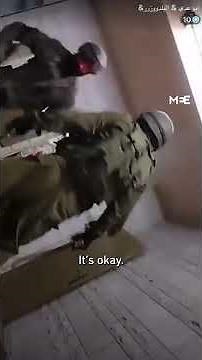 Palestinian TikToker Iyad Banat beaten and arrested during live-stream