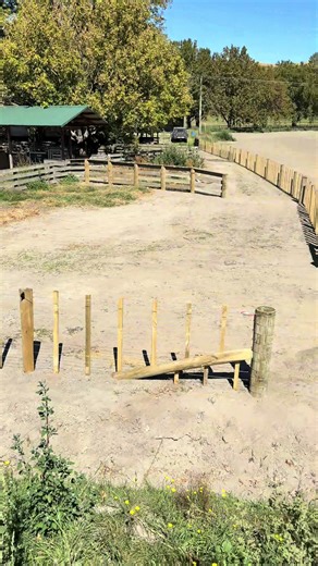 DIY Fencing in New Zealand: Tips from a Contractor