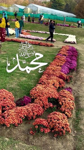 asid (@asid0578)’s videos with original sound - asid