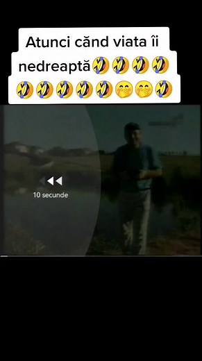 Playful Interaction by the Lake: A Fun Encounter