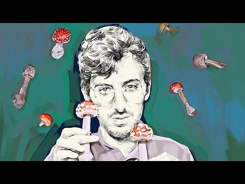 Hamilton Morris on Iboga, 5-MeO-DMT, the Power of Ritual, New Frontiers in Psychedelics, and More