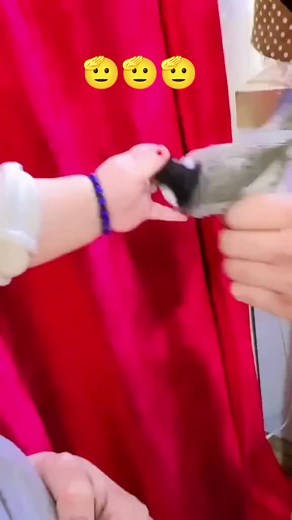 رضا حسين على TikTok