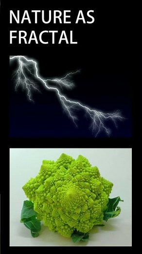 Fractals in Nature | nature geometry | edu-archs