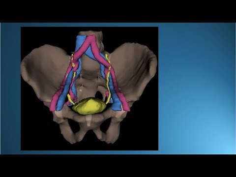 What is new in Prostate MRI 2021