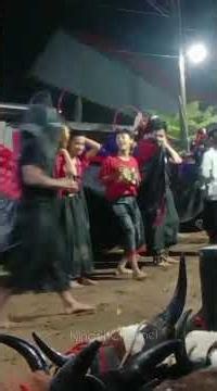 SSAS Live Tipping Version in Malang, East Java #Bantengan Shots