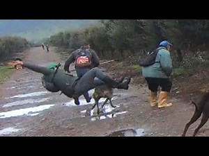 The Worst Falls, Laughs, and Fails of Beagle Hunting in Chile | 2019