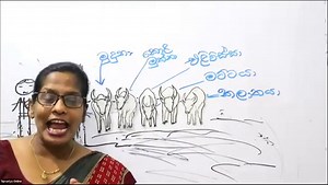 grade 7 sinhala හරි අපූරු සිංහල මිස් 0740279798 coordinator | හරි අපූරු සිංහල මිස්