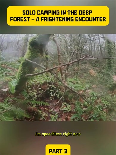 Solo Camping Adventures in the Deep Forest - Part 3