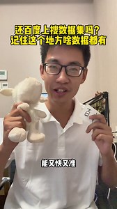 到哪找数据集能又快又准！记住这个地方全给你配太好了！