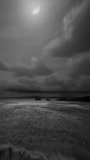 Exploring Serene Black and White Beach Landscapes