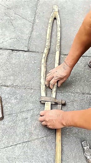 Threshing by Hand: The Ancient Rhythm of Grain Harvesting