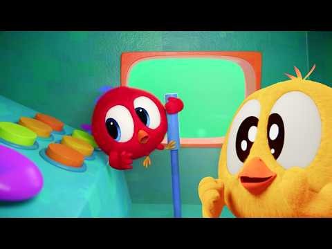 All Aboard, Chicky! | Where's Chicky? | Cartoon Collection in English for Kids | New episodes