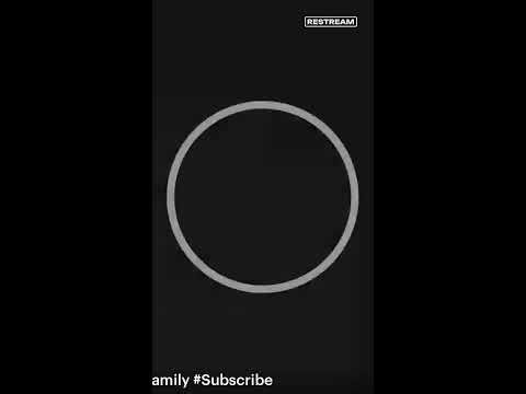 Two Mini Goldendoodles Supervising Lawn Work 🐶🌿 | Cute Dog Livestream | Relaxing Backyard Vibes