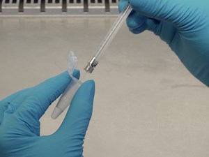 Development of an Alpha-synuclein Based Rat Model for Parkinson's Disease via Stereotactic Injection of a Recombinant Adeno-associated Viral Vector