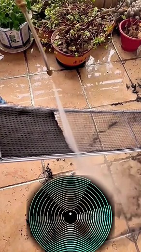 zjdsvv (@zjdsvv)’s videos with original sound - zjdsvv