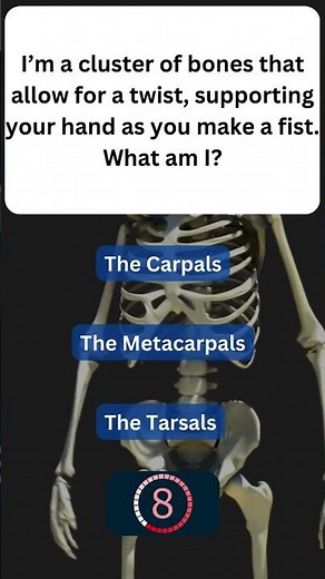 Fun Fact About Your Bones! 🦴 #SkeletalSystem 38