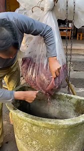 Amazing Cooking Boy Natural life ❤️ | Amazing Foods