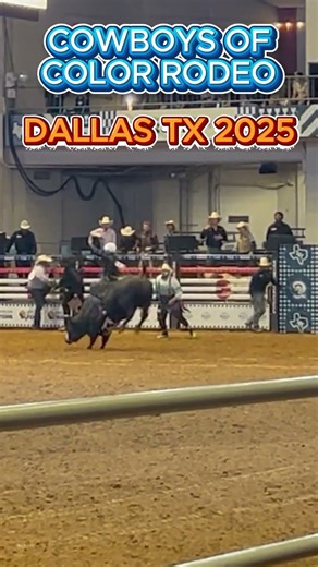 HOW TO RIDE A BULL #rodeo #BULL #bullriding