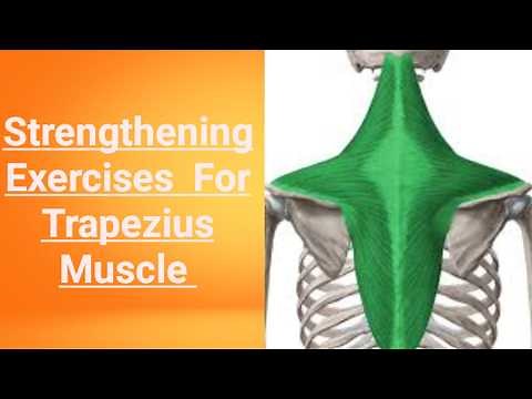 Trapezius strengthening exercises||Trapezius strenghening exerciese@PhysiotherapyTreatments