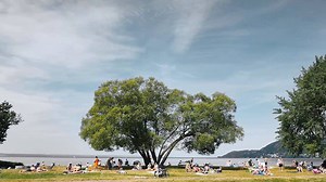 84K views · 2.8K reactions | Some thoughts on what can be lost, and...