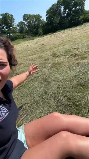 Exploring Agriculture in Wiltshire During Holiday Season